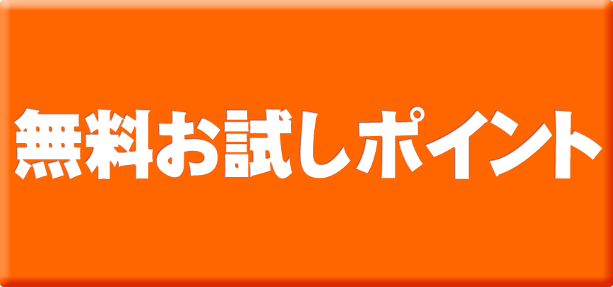 １０００円分の無料ポイントが付いている６９６９チャット